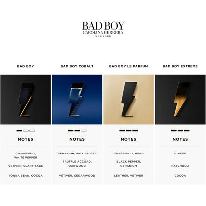 Bad Boy Le Parfum - EDP - 100ml
